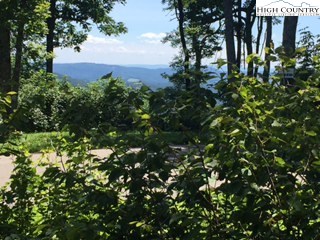 Lot 2 Crown Point Road West Jefferson, NC 28694 - Photo 10 of 20 Gallery Image 10