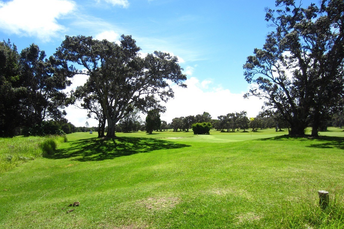 26 Kaleponi Road Pahoa, HI 96778 - Photo 17 of 18
