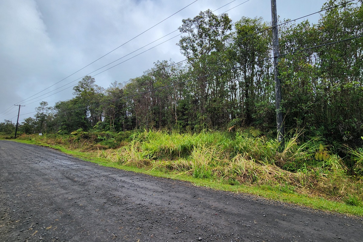 26 Kaleponi Road Pahoa, HI 96778 - Photo 3 of 18