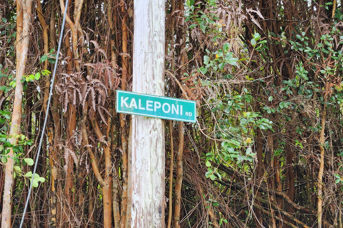 26 Kaleponi Road Pahoa, HI 96778 - Photo 7 of 18