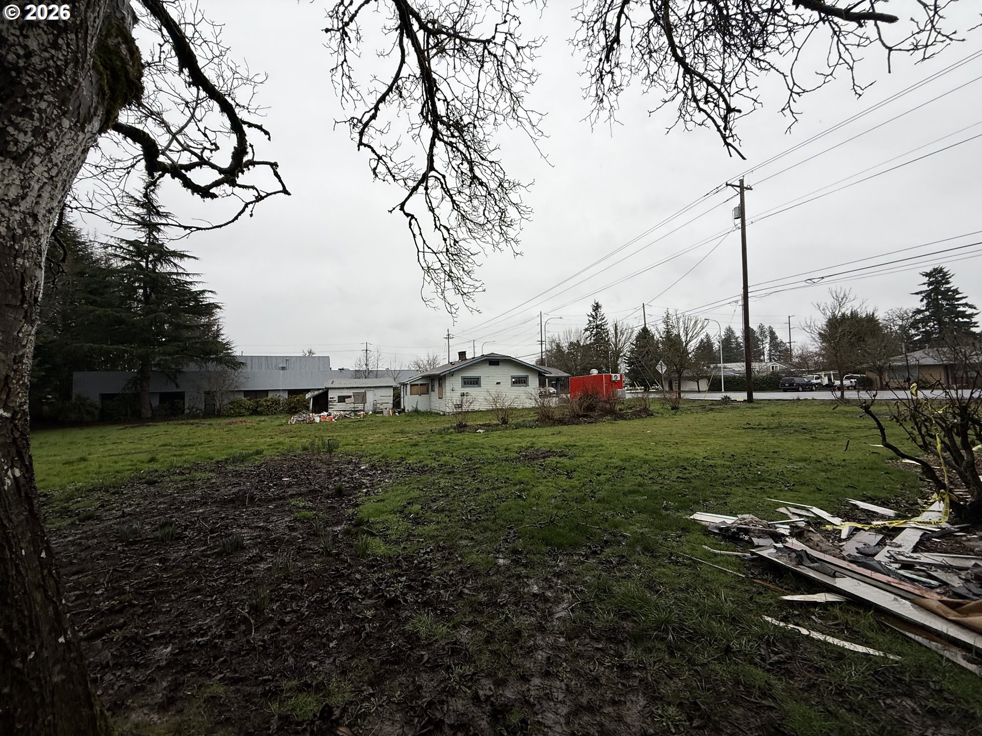 3945 Southwest 185th Avenue Beaverton, OR 97078 - Photo 20 of 26 a view of a park and trees