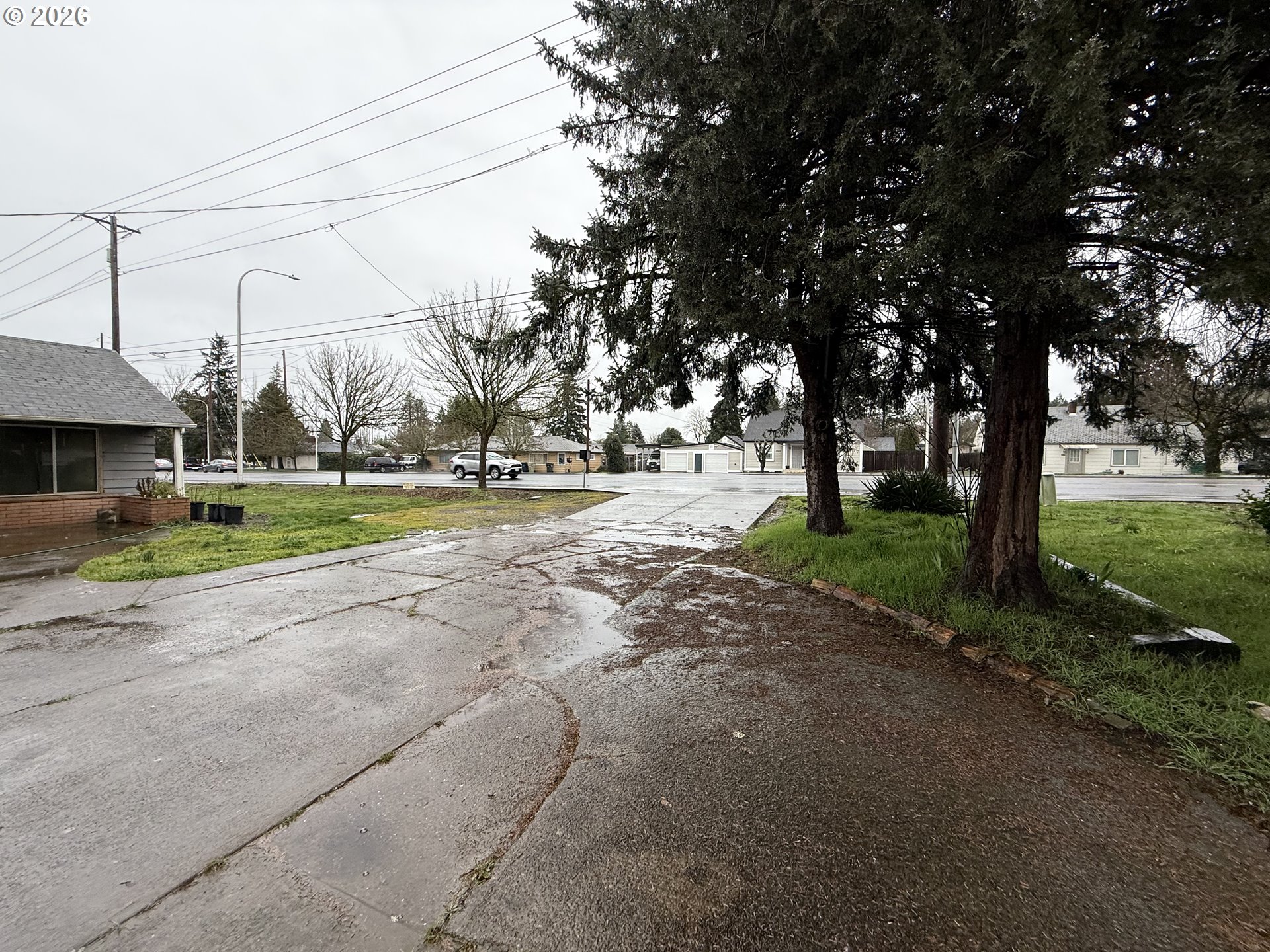 3945 Southwest 185th Avenue Beaverton, OR 97078 - Photo 23 of 26 a view of a yard with plants and a large tree