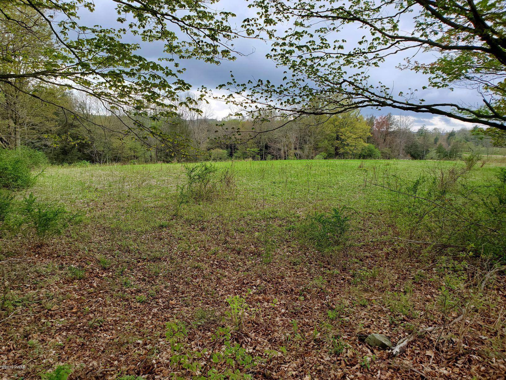 Lot 5 Ledgedale Rd Lake Lake Ariel, PA 18436 - Photo 8 of 9