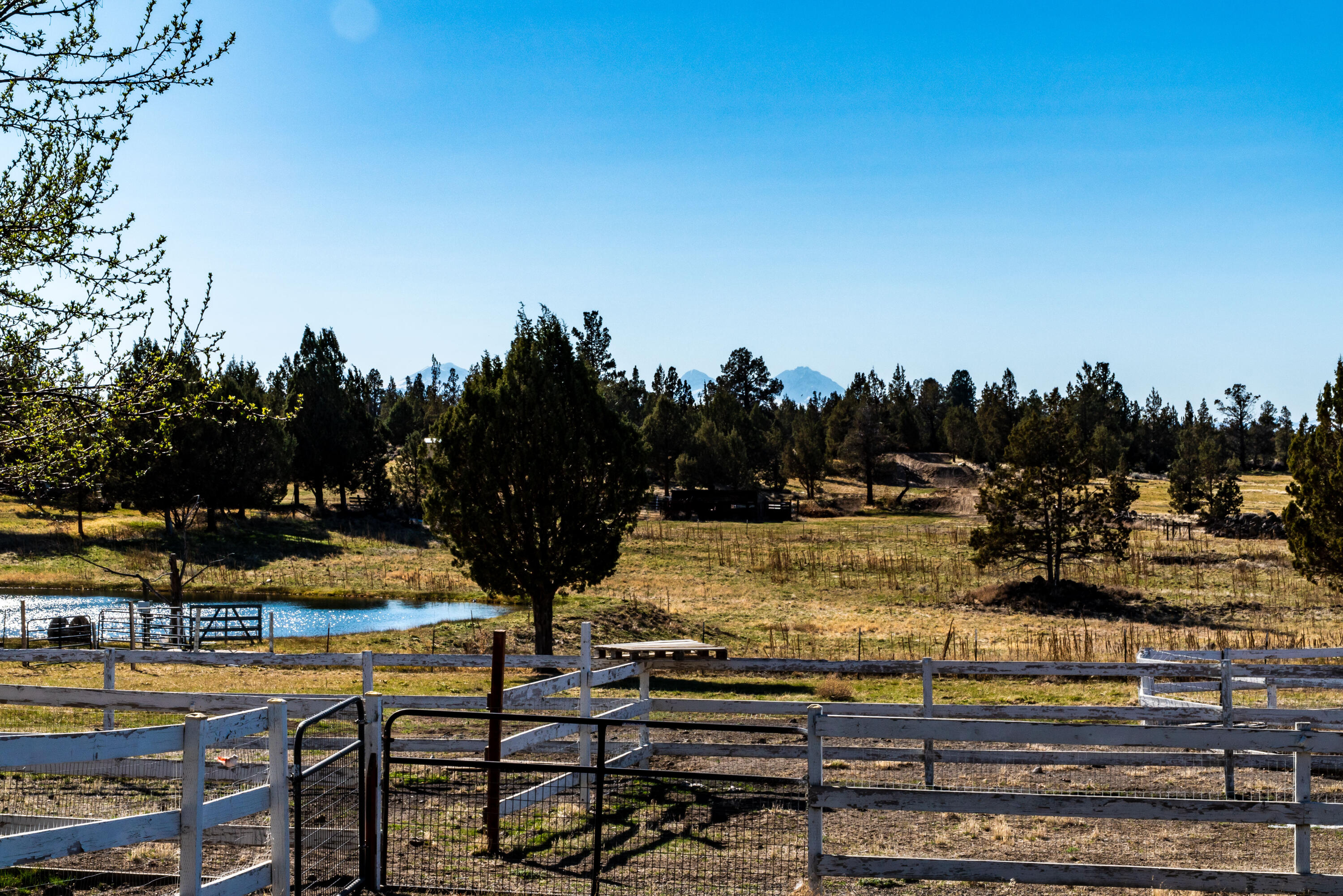 62425 Stenkamp Road Bend, OR 97701 - Photo 45 of 51 62425 Stenkamp Rd, Bend-77