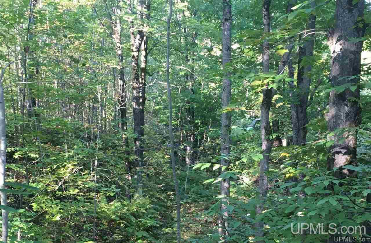 Peshekee Grade Road Michigamme, MI 49861 - Photo 1 of 1