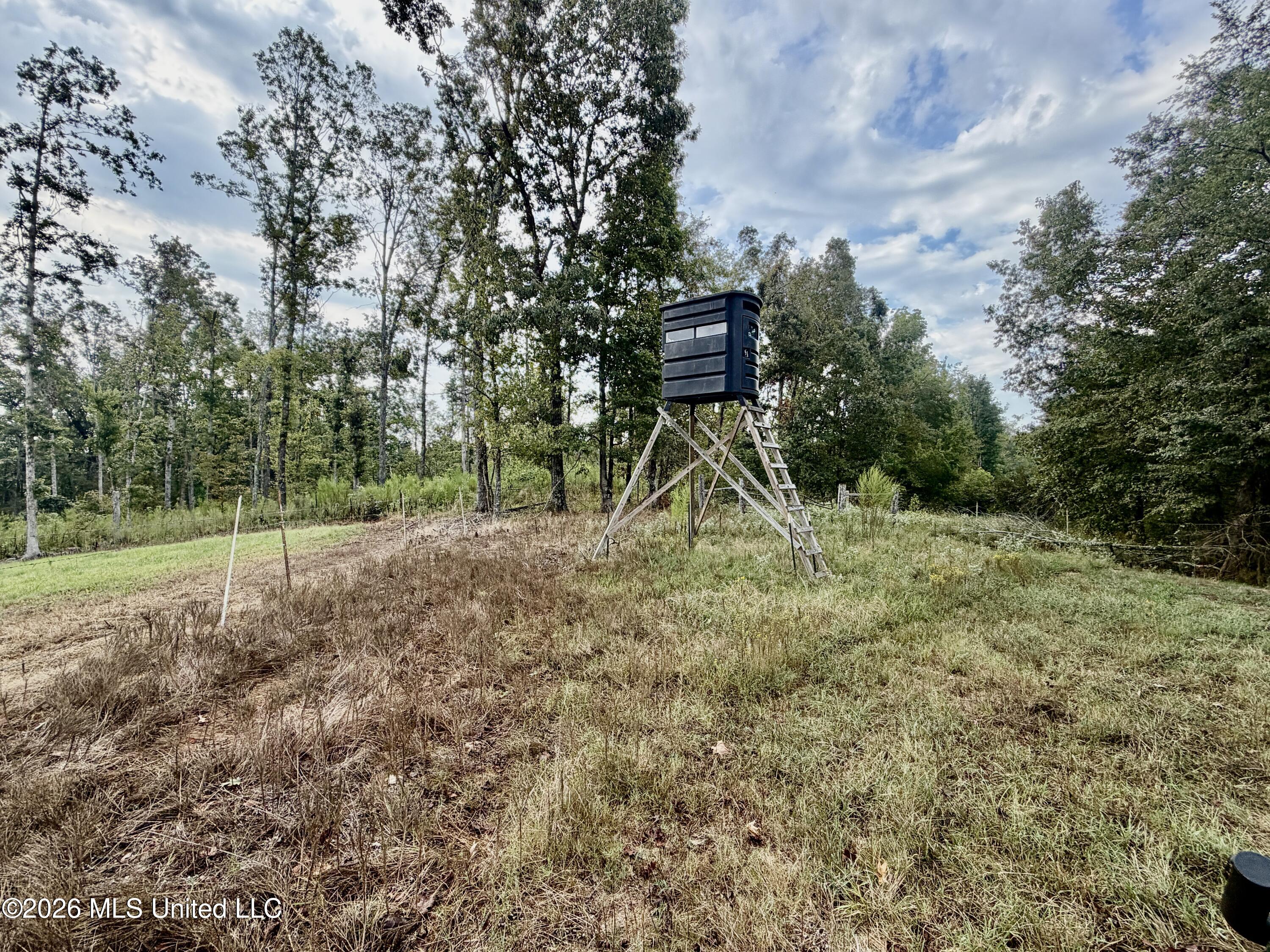 1955 Adams Road Oakland, MS 38948 - Photo 22 of 26 IMG_5665