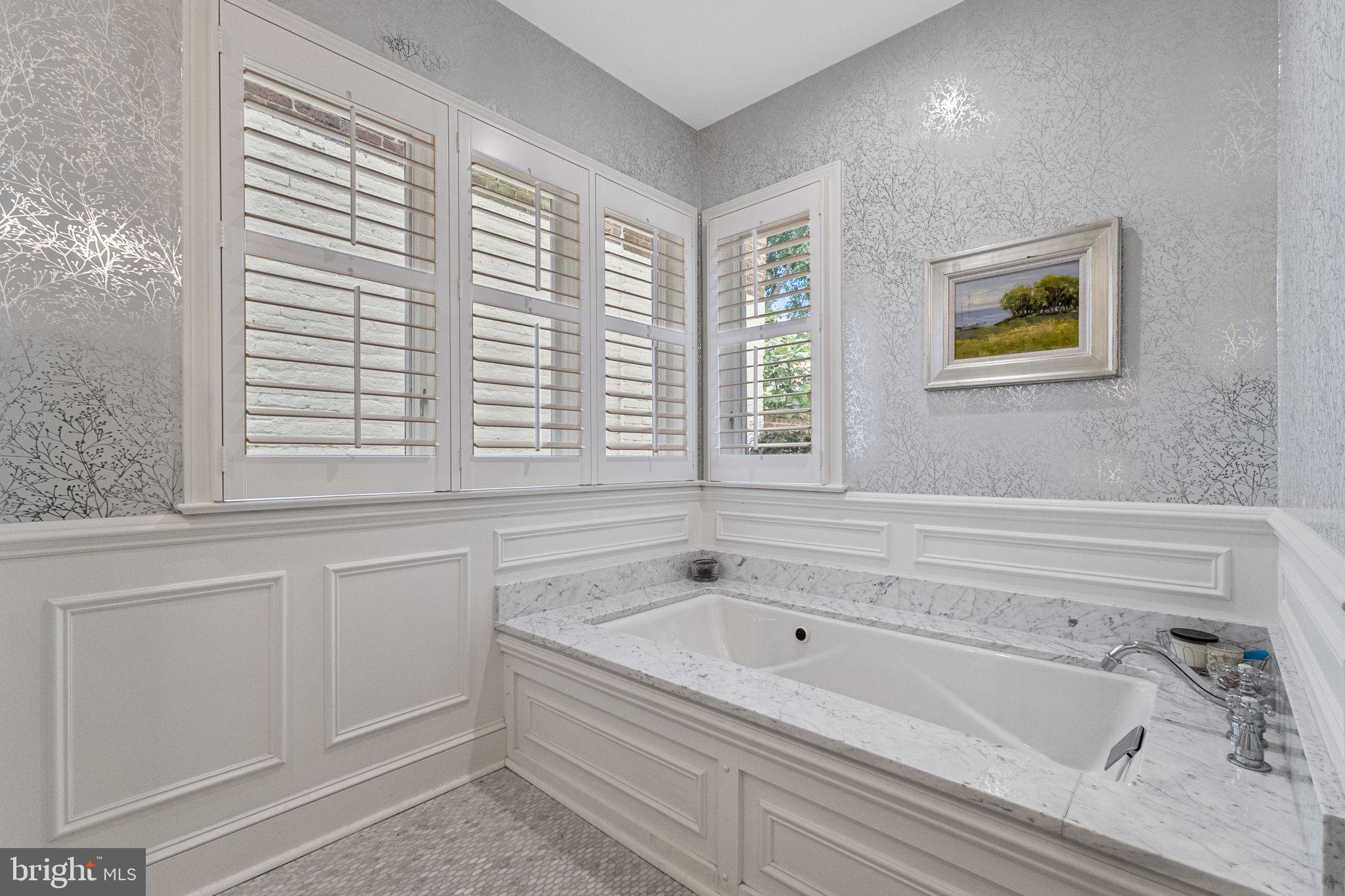 119 Record Street, Unit 1 Frederick, MD 21701 - Photo 37 of 72 soaking tub
