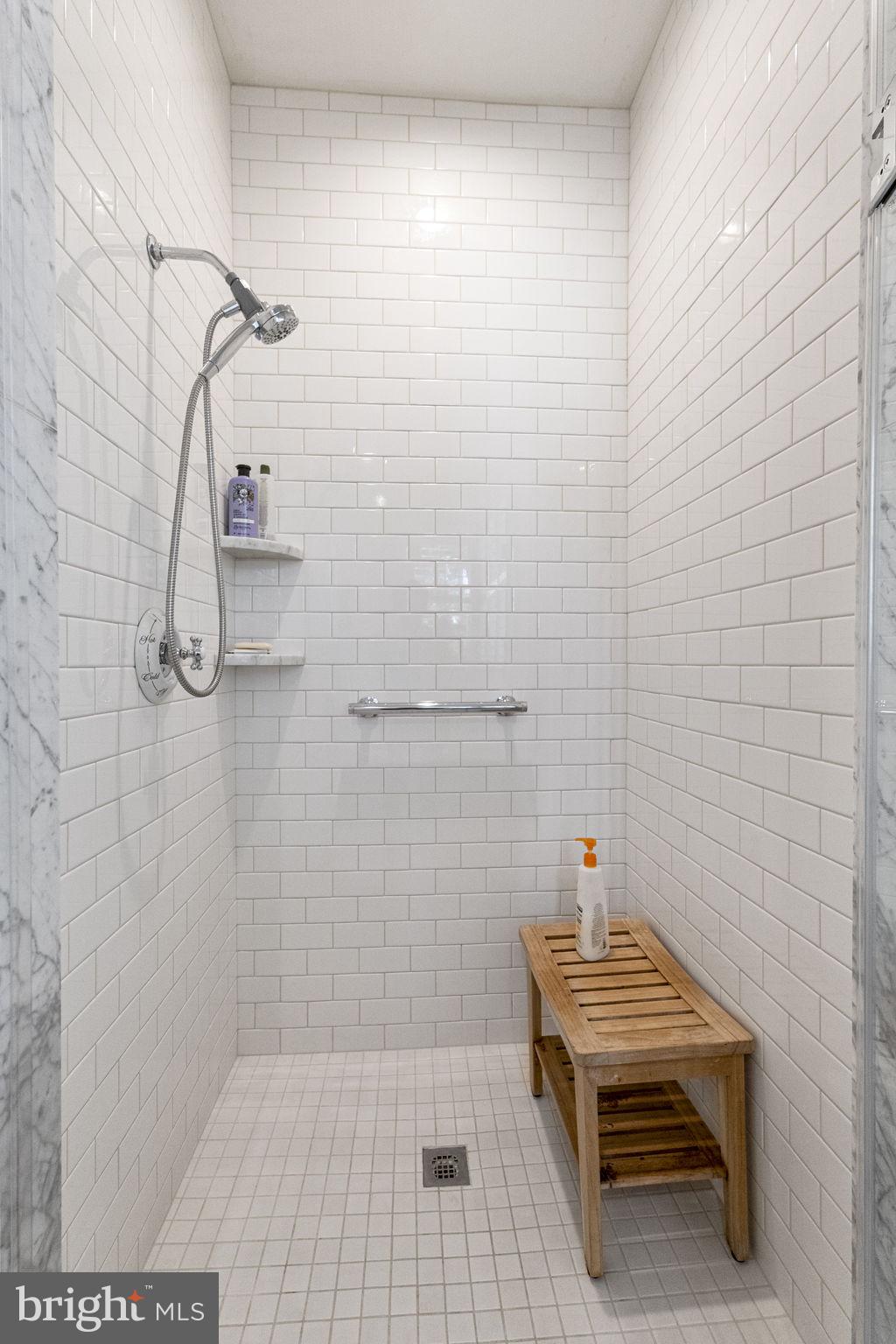 119 Record Street, Unit 1 Frederick, MD 21701 - Photo 38 of 72 walk-in shower