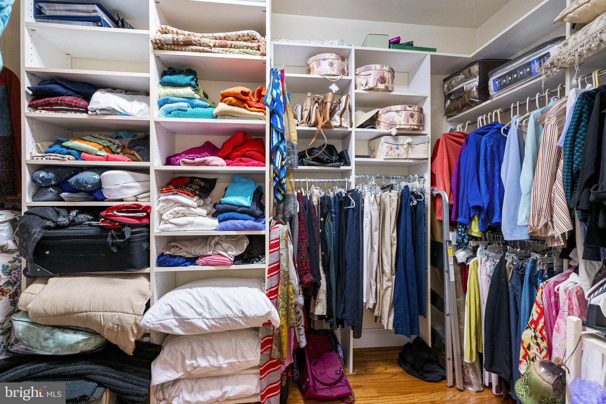 119 Record Street, Unit 1 Frederick, MD 21701 - Photo 40 of 72 huge walk-in closet with custom systems