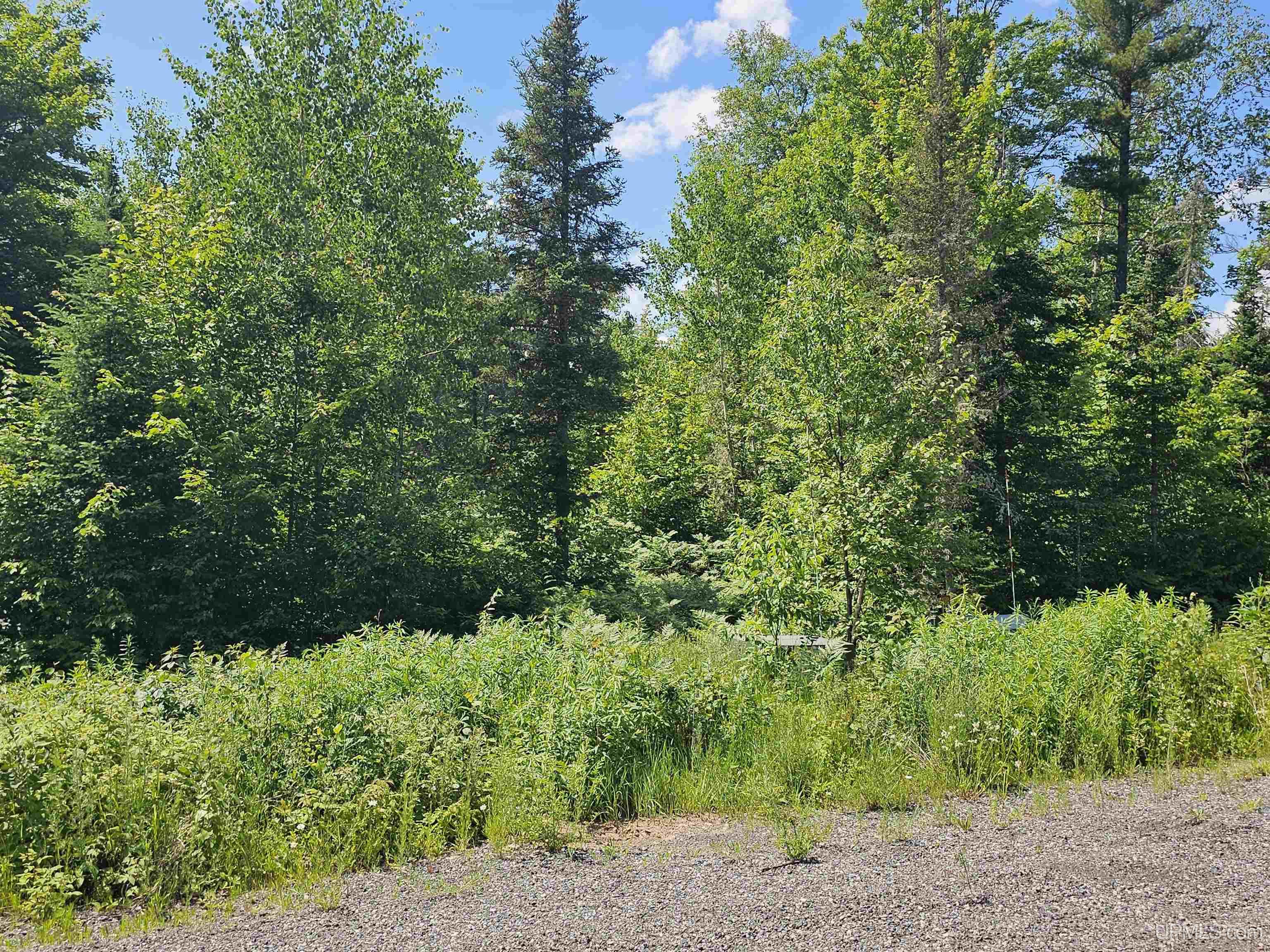 Tbd Pike Pond Drive, Unit #27 Ishpeming, MI 49849 - Photo 2 of 4
