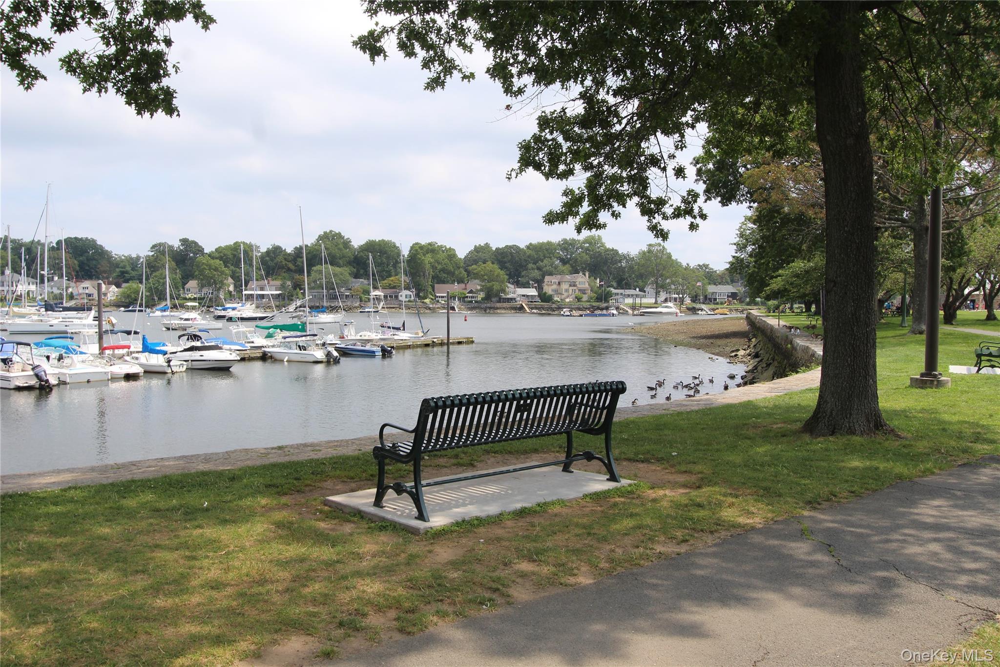 129 Fenimore Road, Unit 129B Mamaroneck, NY 10543 - Photo 16 of 19 Enjoy Harbor Island Park