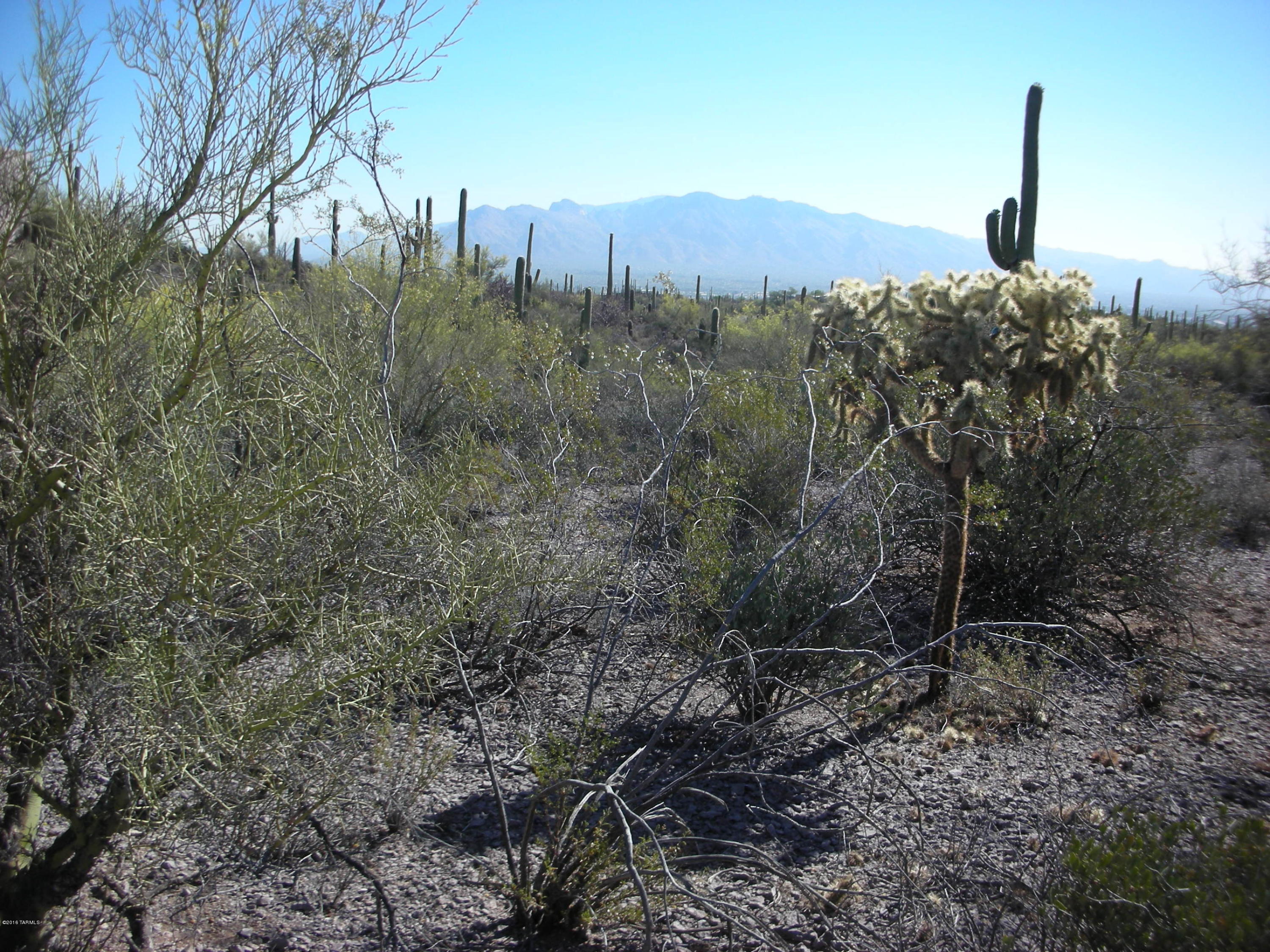 5075 West Rhyolite Loop Tucson, AZ 85745 - Photo 10 of 13 Gallery Image 10