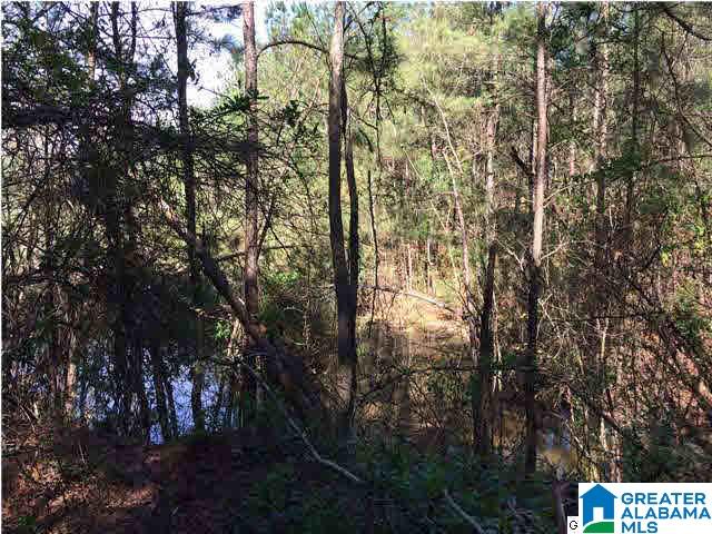 79 Highway 79, Unit 3 9 Cleveland, AL 35049 - Photo 10 of 21