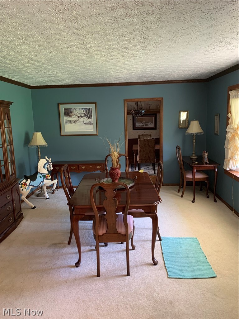 303 Orchard View Road Northeast Lancaster, OH 43130 - Photo 14 of 50 Dining room with ornamental molding, light colored carpet, and a textured ceiling