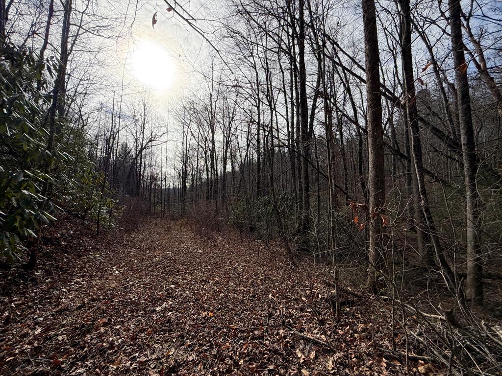 135.49-ac Webb Creek Road Andrews, NC 28901 - Photo 15 of 34