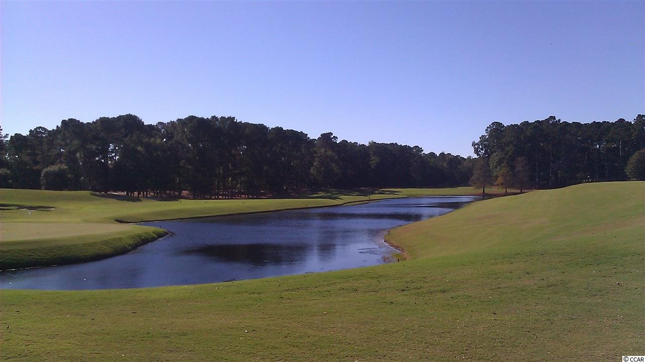 558 Botany Loop, Unit 173 Murrells Inlet, SC 29576 - Photo 13 of 15 Gallery Image 13