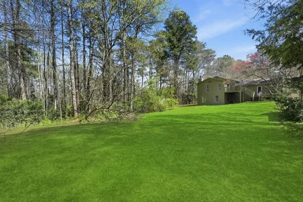 a view of a yard with plants and large trees