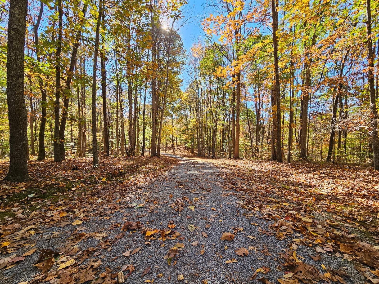 5935 Old Snapps Ferry Road Limestone, TN 37681 - Photo 14 of 57 driveway-20231102_113506