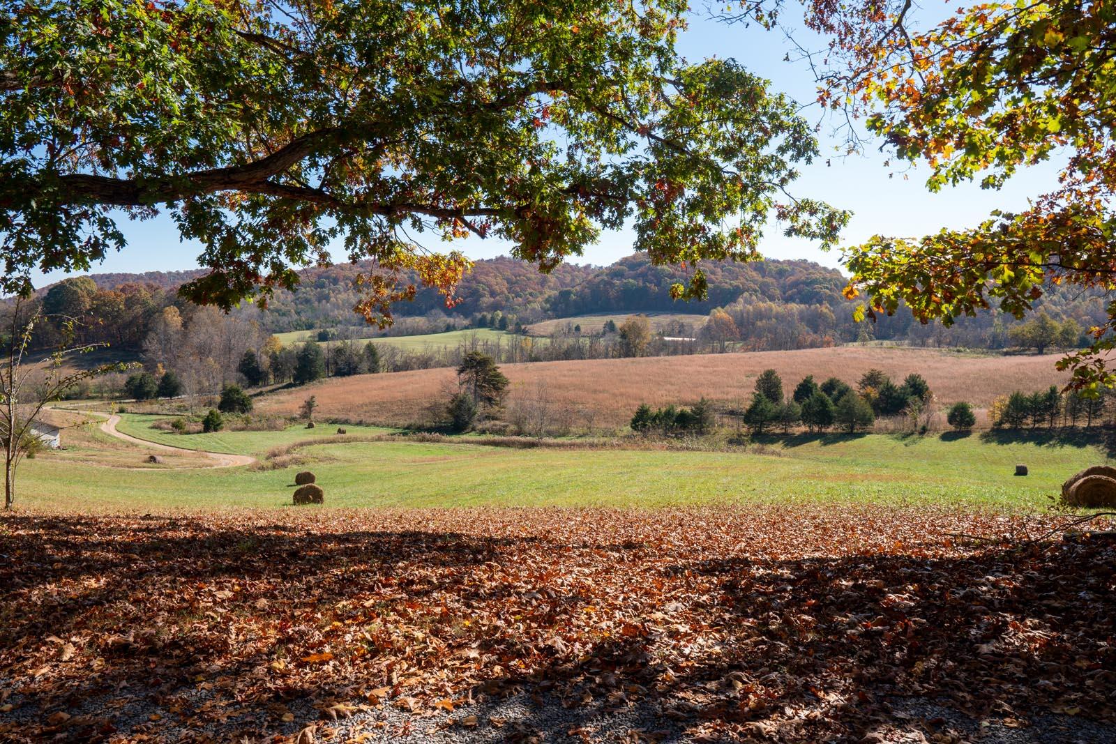 5935 Old Snapps Ferry Road Limestone, TN 37681 - Photo 20 of 57 field-DSC04125