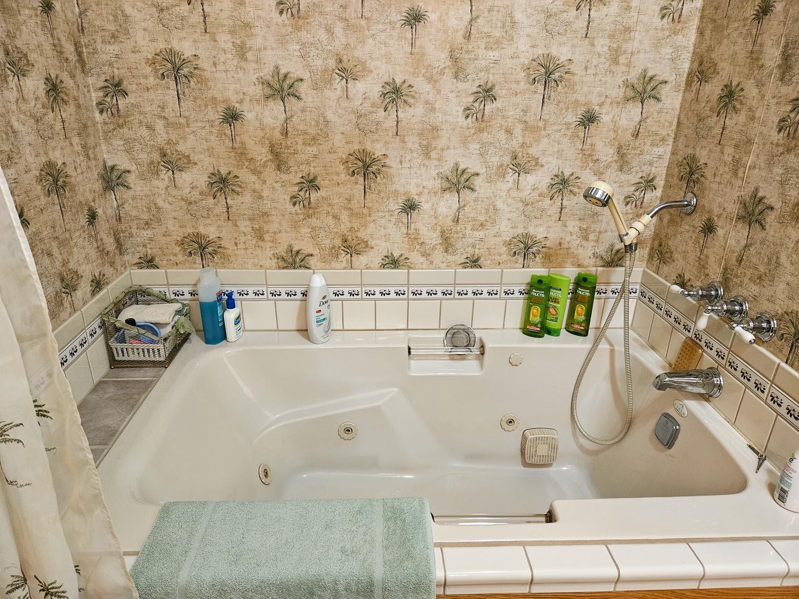 5935 Old Snapps Ferry Road Limestone, TN 37681 - Photo 38 of 57 bath1-20231102_124649