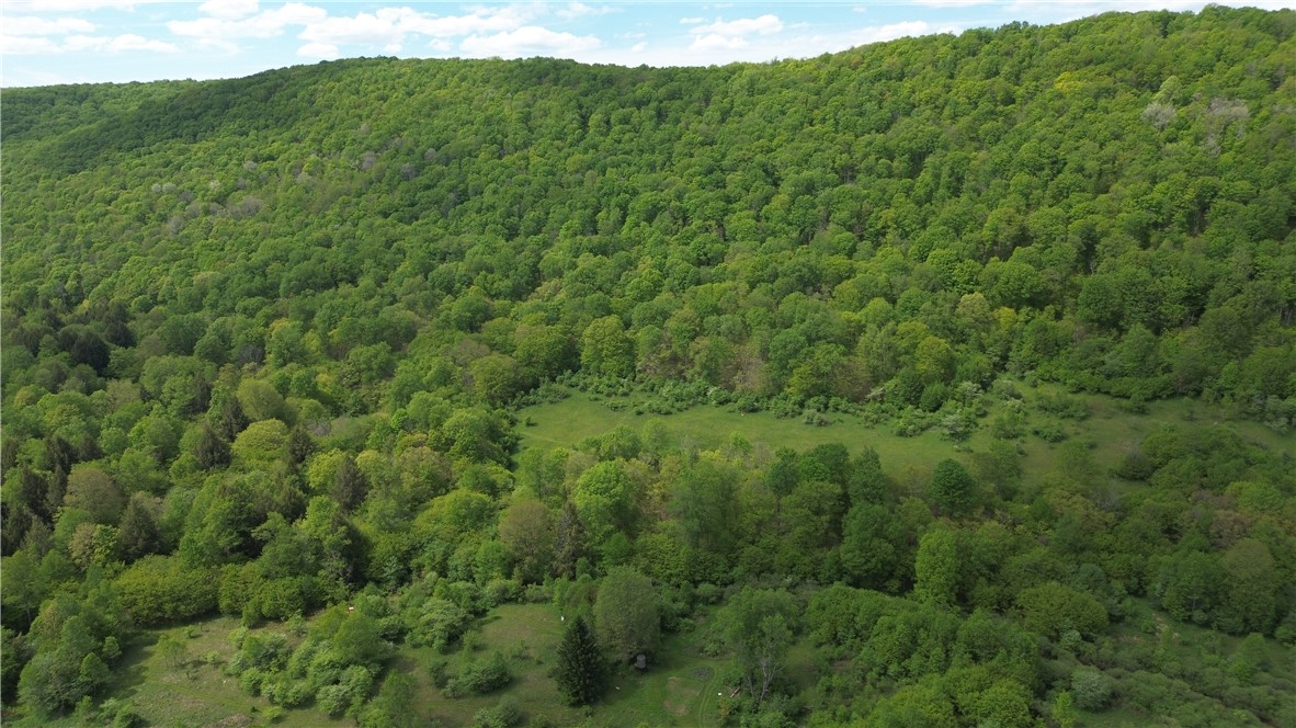 374 Brewer Run Road Smethport, PA 16749 - Photo 7 of 40