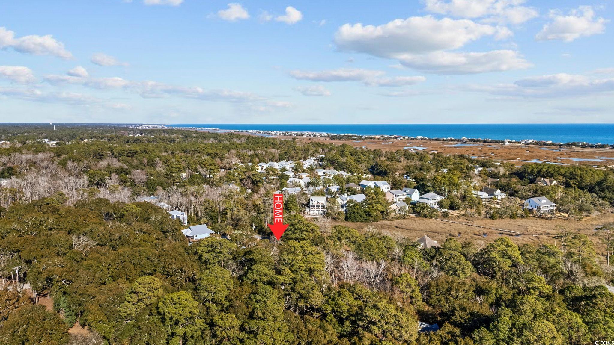 153 Watson Way Pawleys Island, SC 29585 - Photo 37 of 40 View of property location with a large body of water and a forest