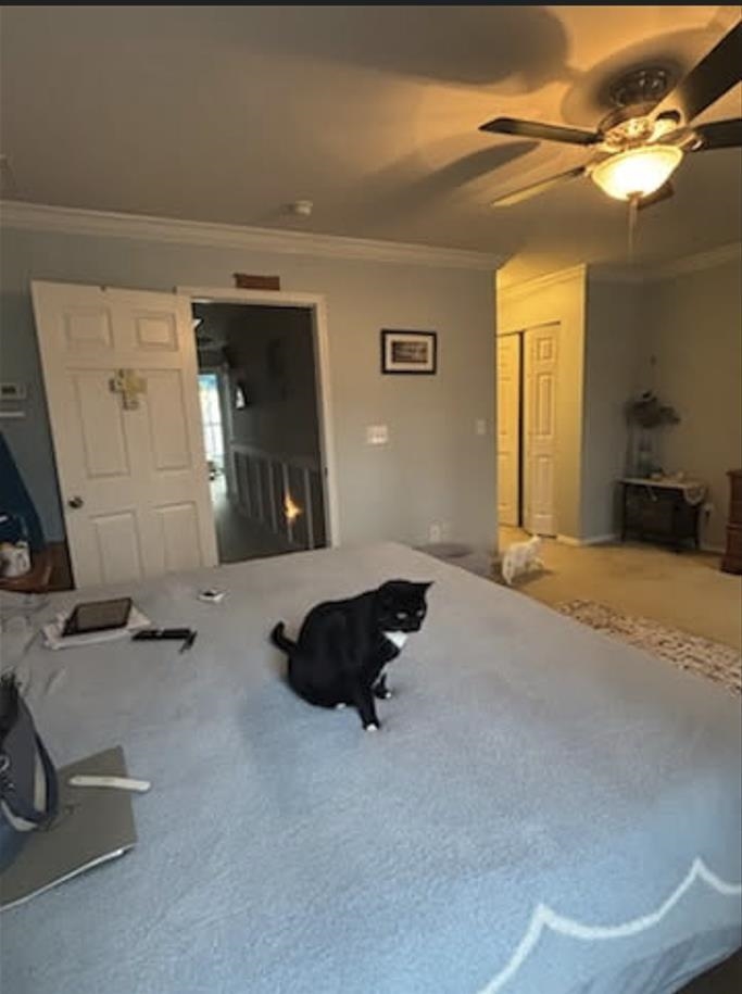 190 Olde Towne Way, Unit 3 Myrtle Beach, SC 29588 - Photo 19 of 24