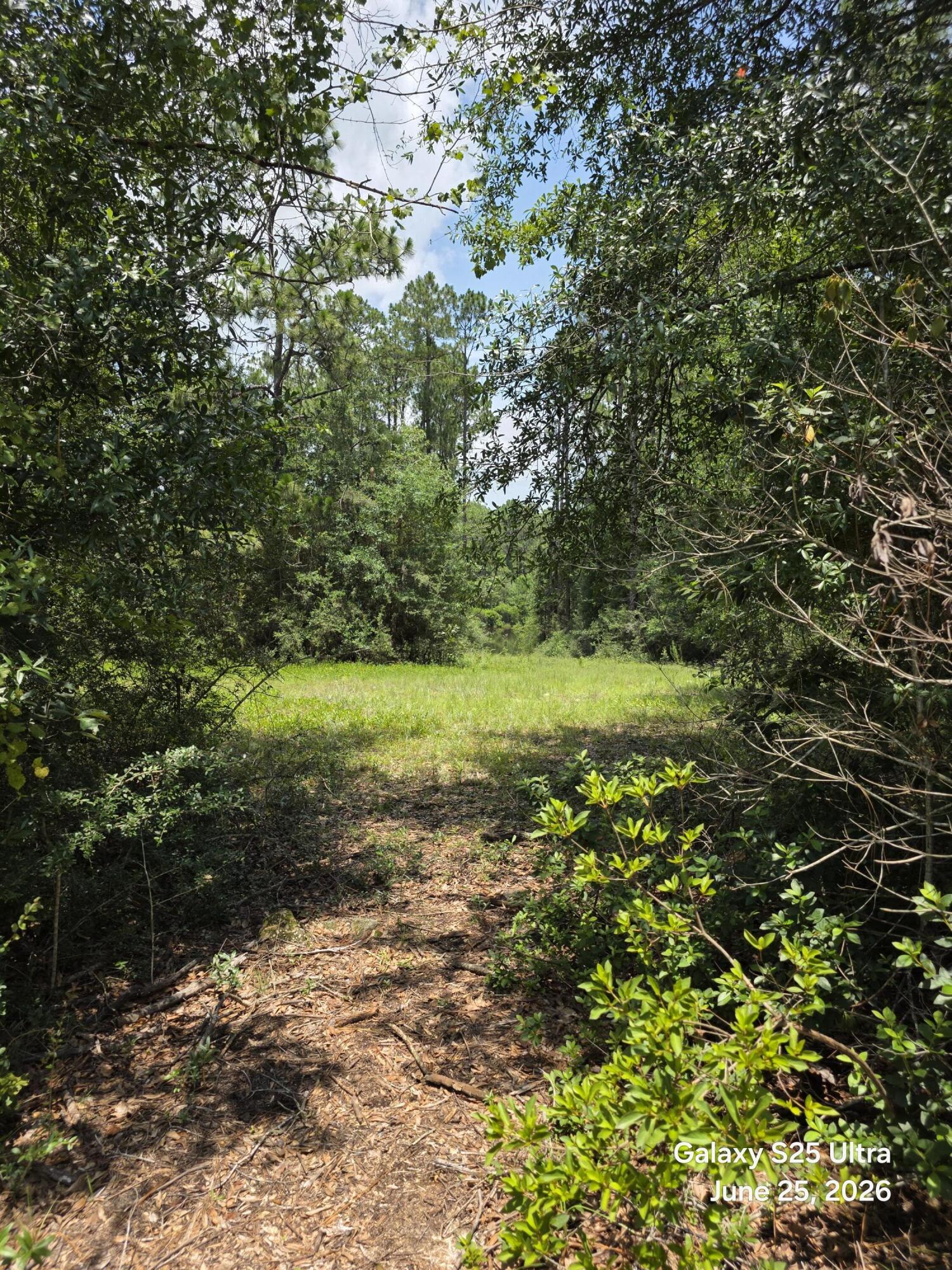 6178 Barnes Road Crestview, FL 32536 - Photo 14 of 16 20260625_130003