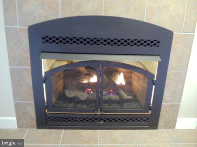 343 Sandy Ridge Road Fredericksburg, VA 22405 - Photo 16 of 25 Fireplace