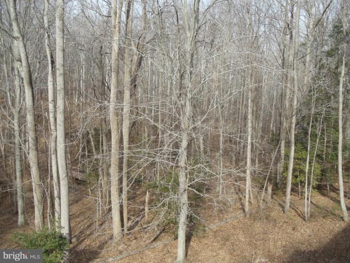 343 Sandy Ridge Road Fredericksburg, VA 22405 - Photo 19 of 25 Back yard