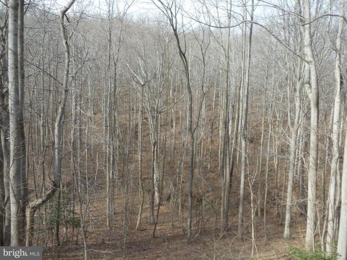 343 Sandy Ridge Road Fredericksburg, VA 22405 - Photo 24 of 25 View from Unit