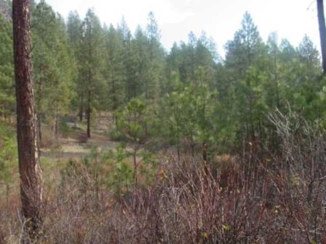 6051 West End Road Fruitland, WA 99129 - Photo 3 of 7 Gallery Image 3