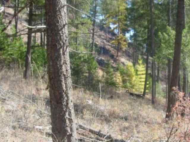 6051 West End Road Fruitland, WA 99129 - Photo 4 of 7 Gallery Image 4