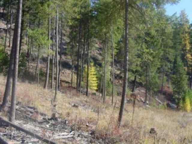 6051 West End Road Fruitland, WA 99129 - Photo 5 of 7 Gallery Image 5
