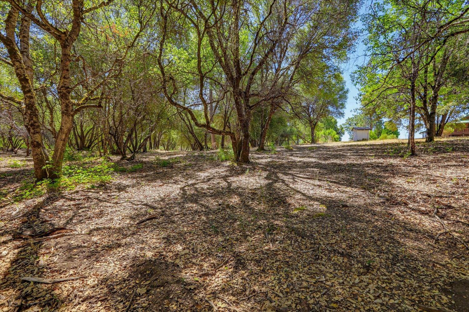 21748 Hyatt Road Nevada City, CA 95959 - Photo 73 of 83