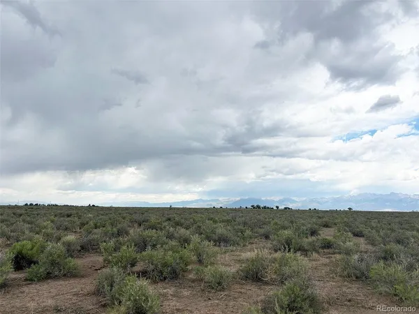 a view of a dry yard in a field
