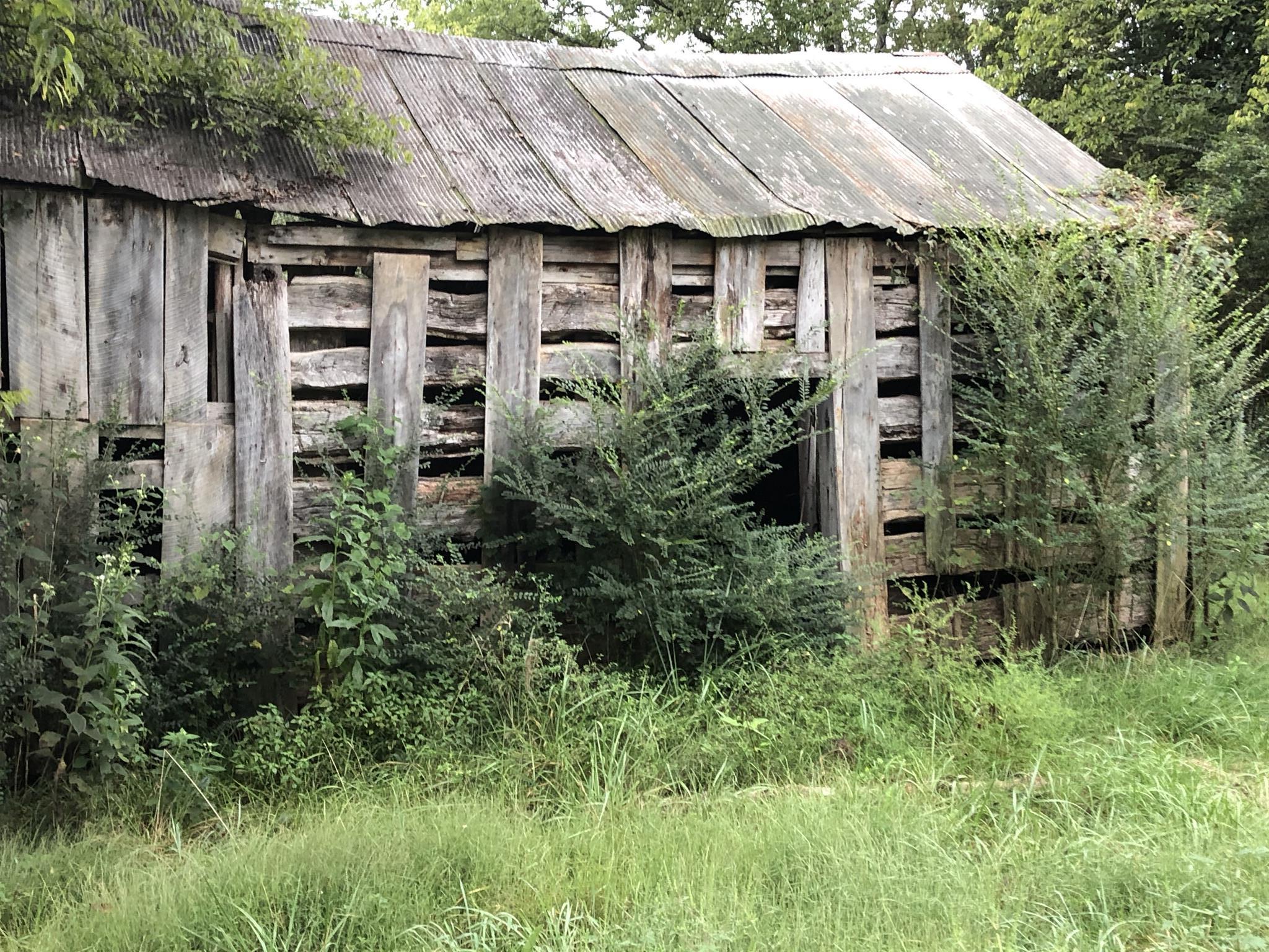 182 Canoe Branch Road Castalian Springs, TN 37031 - Photo 1 of 7