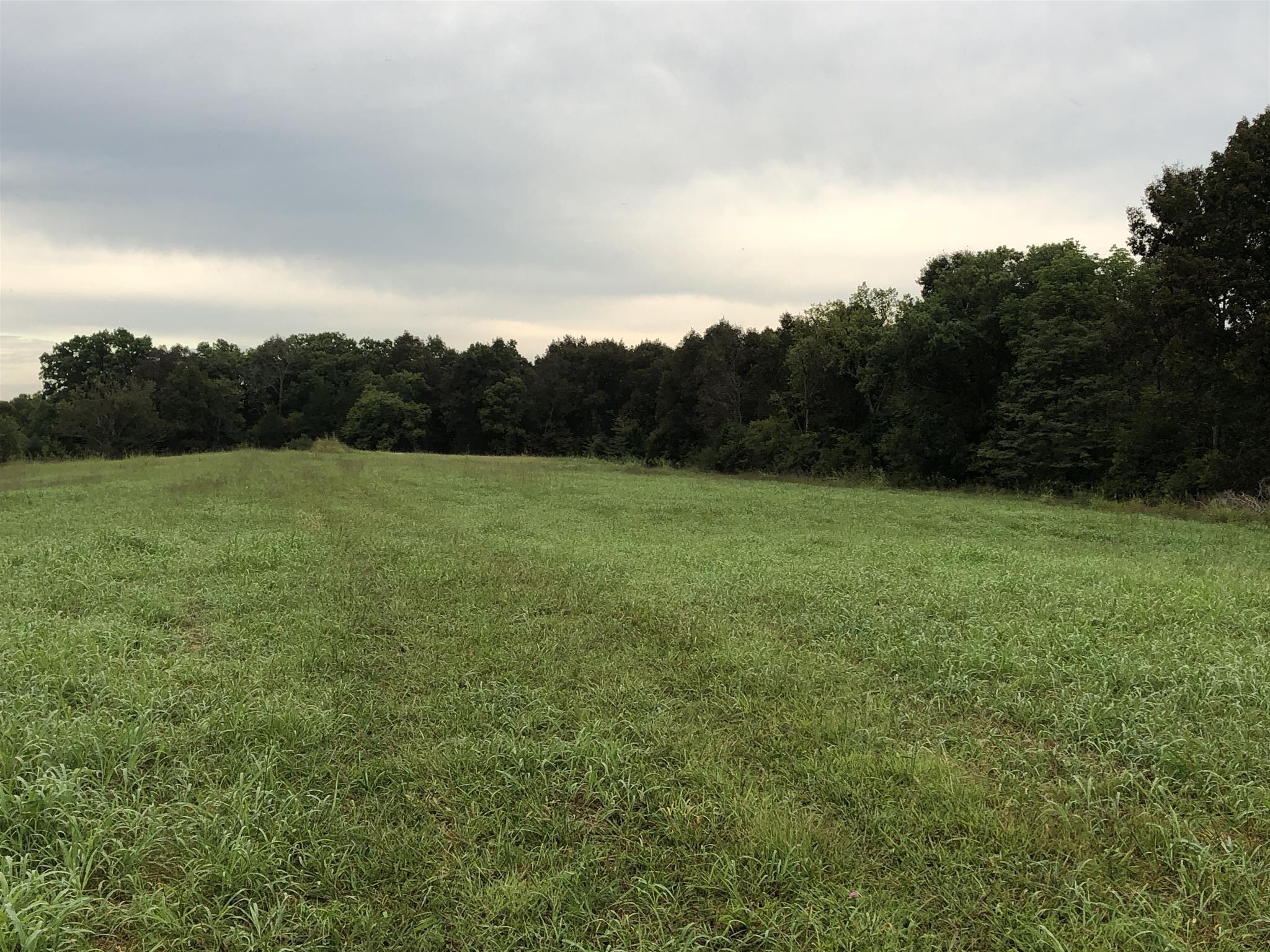 182 Canoe Branch Road Castalian Springs, TN 37031 - Photo 3 of 7