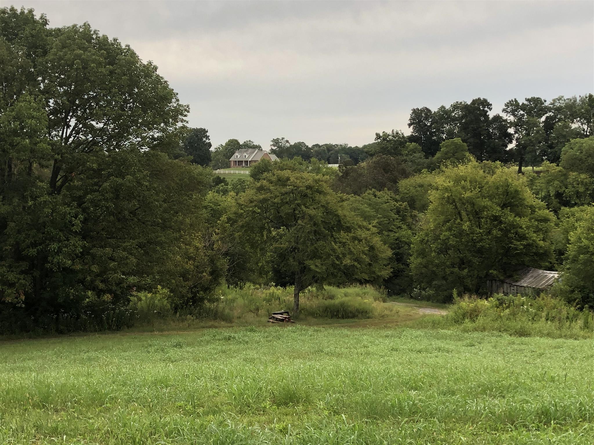 182 Canoe Branch Road Castalian Springs, TN 37031 - Photo 5 of 7
