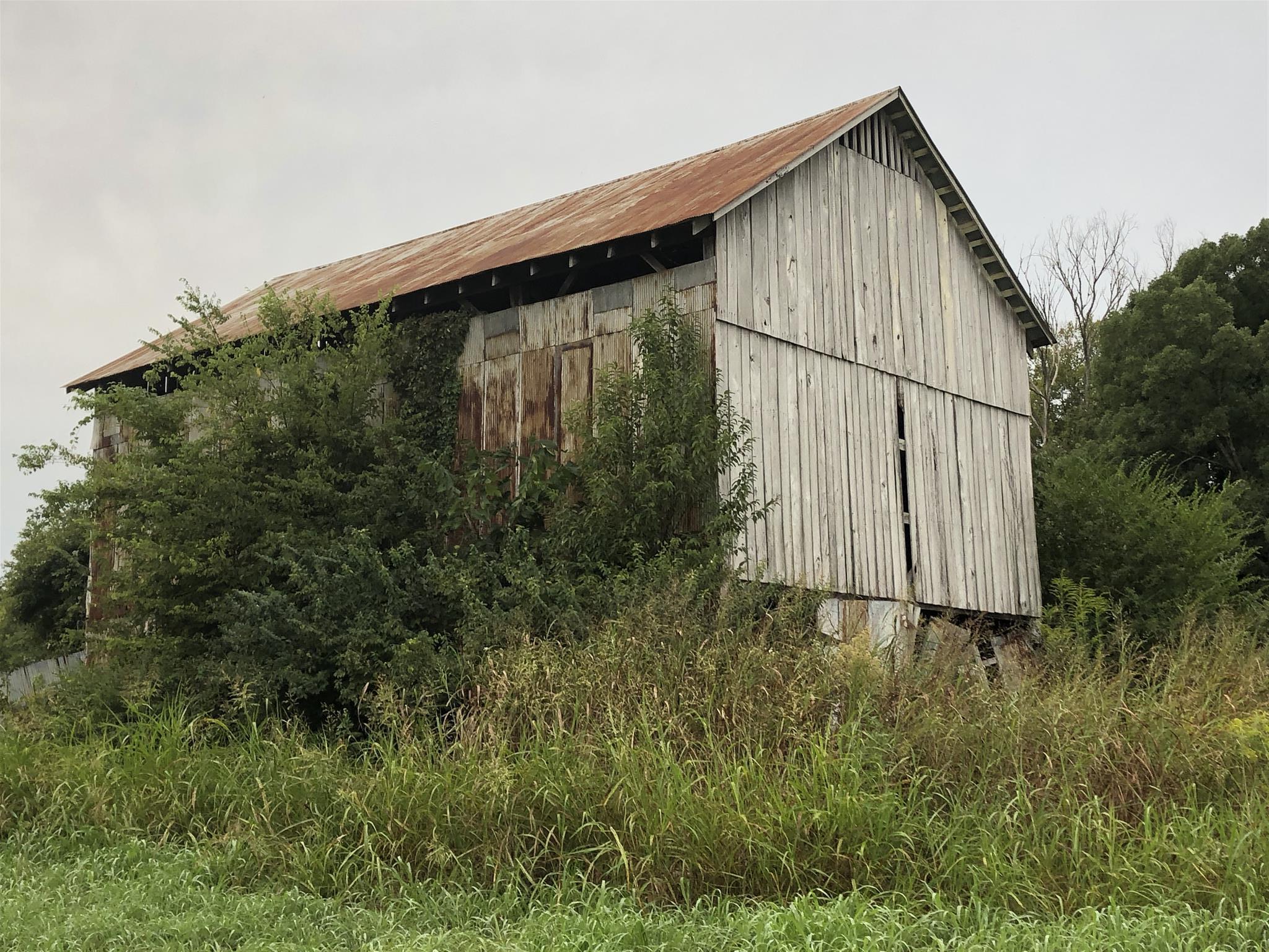 182 Canoe Branch Road Castalian Springs, TN 37031 - Photo 7 of 7