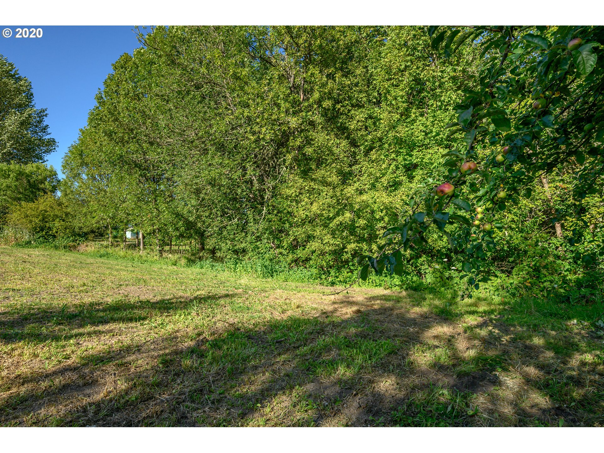 0 Hassle Lane Amity, OR 97101 - Photo 9 of 9