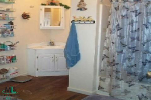 8931 Fisher Road Yale, MI 48097 - Photo 8 of 8 478341-7.JPG