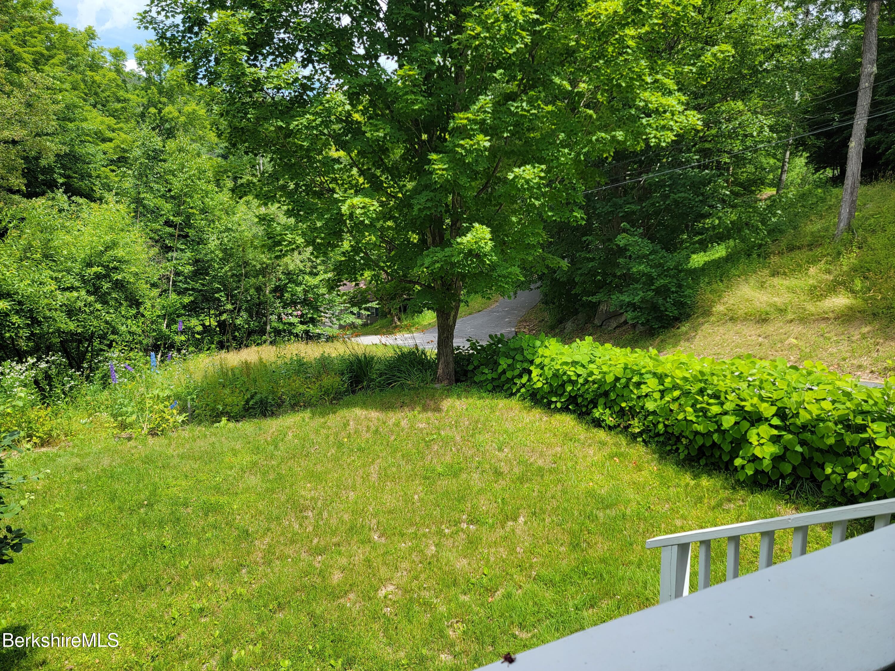56 Jarvis Hill Road Readsboro, VT 05350 - Photo 36 of 38 Yard off back porch