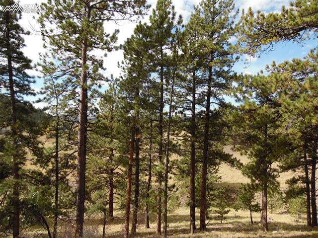 50 A Road Guffey, CO 80820 - Photo 22 of 24