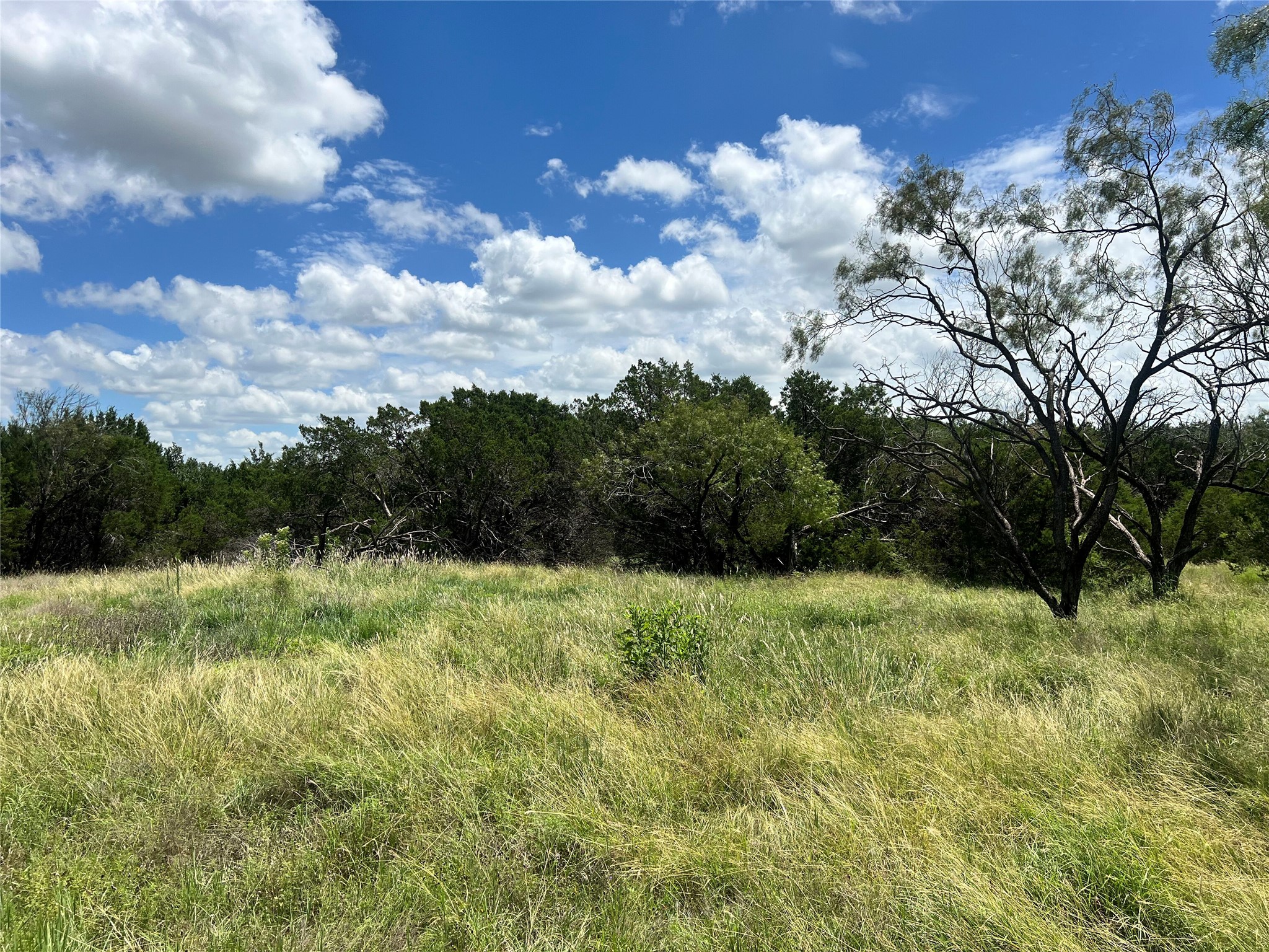 2452 Stone Creek Ranch Drive Evant, TX 76525 - Photo 8 of 19 View of wooded area with a view of countryside
