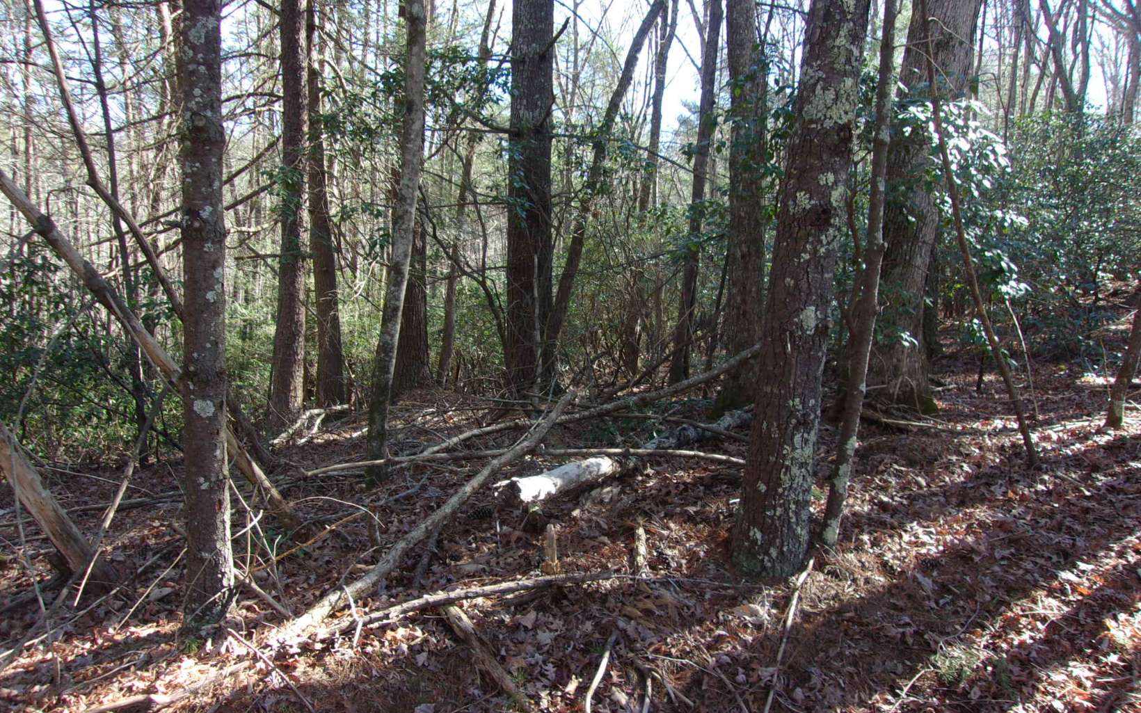 J260 Pine Ridge Road Ellijay, GA 30536 - Photo 4 of 19 Additional View