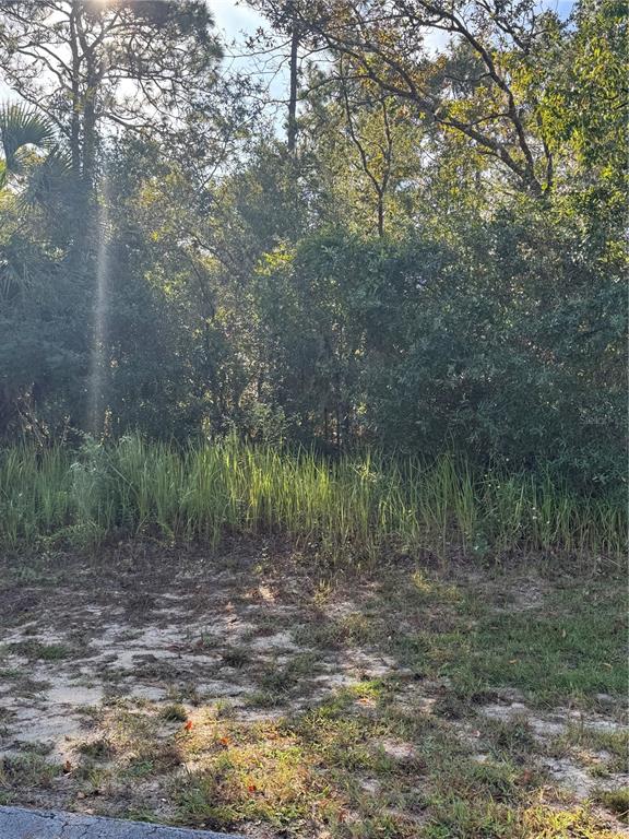 Tbd Hemlock Loop Drive Ocala, FL 34472 - Photo 2 of 5 a view of a lake with a tree