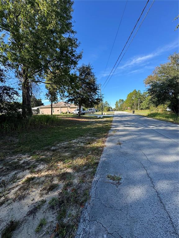 Tbd Hemlock Loop Drive Ocala, FL 34472 - Photo 4 of 5 a view of a yard