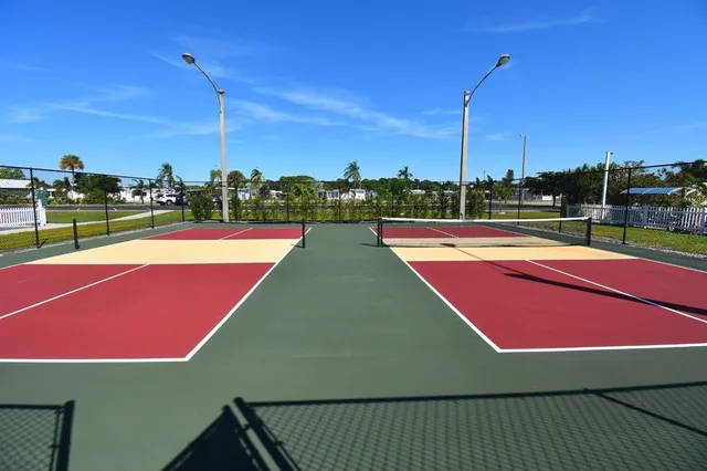 a view of a tennis ground with large trees