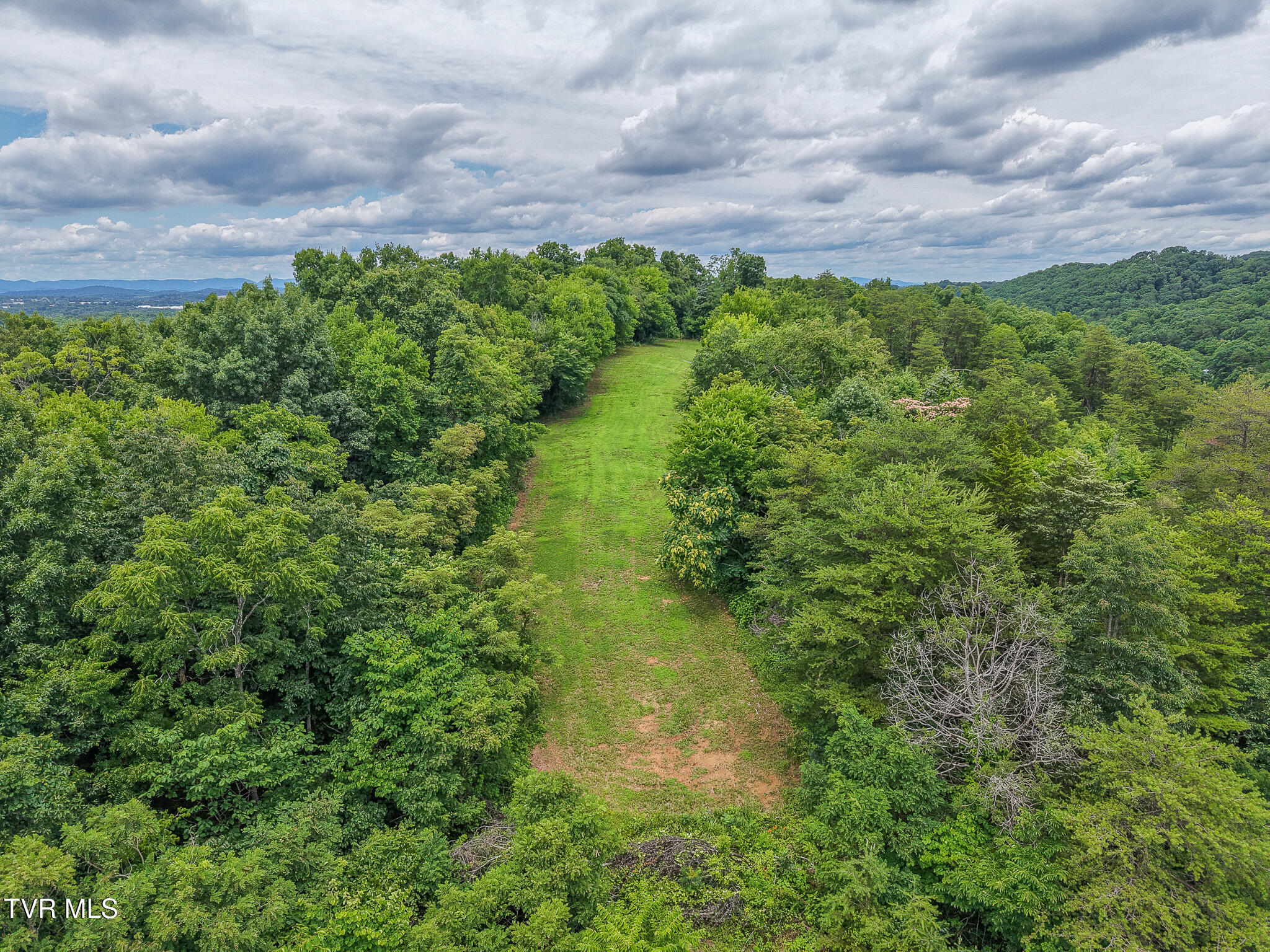 1903 Pleasant Ridge School Road Talbott, TN 37877 - Photo 11 of 43 Pleasant 10